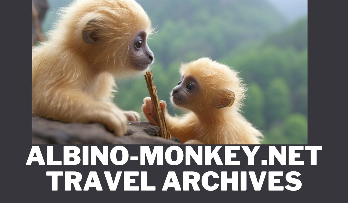 albino-monkey.net travel archives