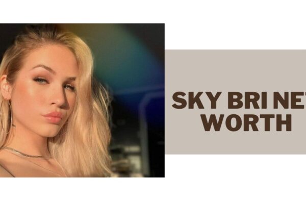 sky bri net worth