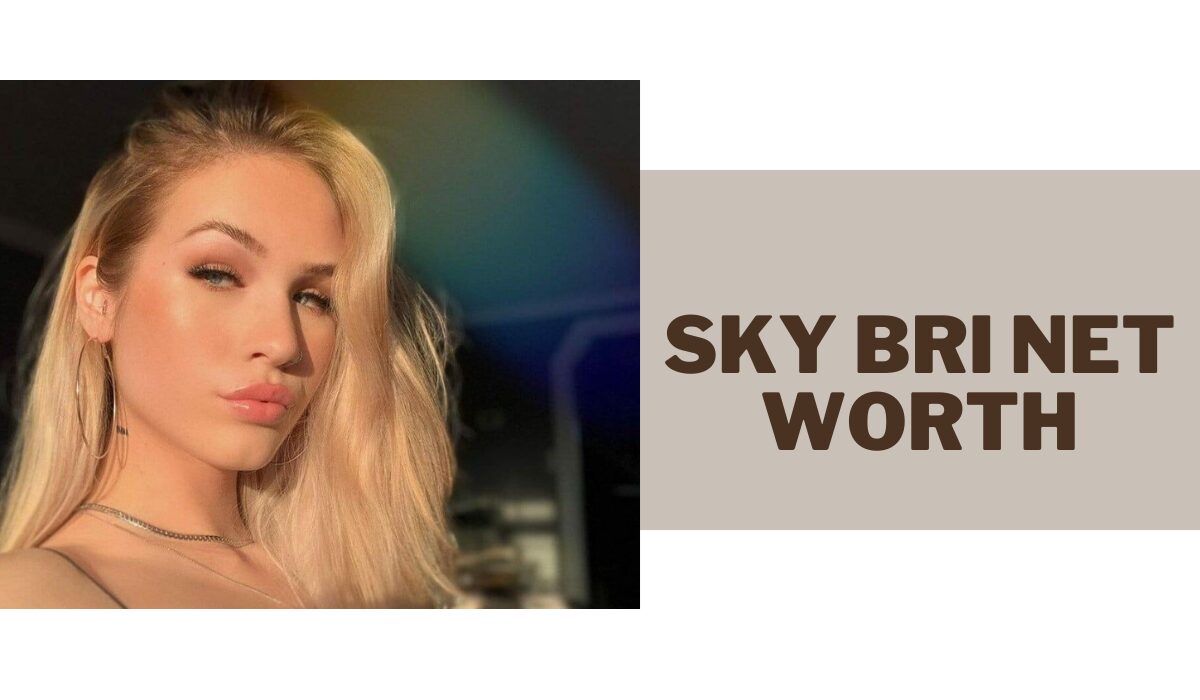 sky bri net worth